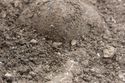 Thumbnail of Photo 5837 Grave good, pot insitu SF1775 detail