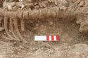 Thumbnail of Photo 5946 Skeleton 608622 bead detail 5