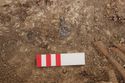 Thumbnail of Photo 5947 Skeleton 608622 bead detail 6