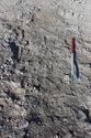 Thumbnail of Photo 5979 Grave pre ex 608700 no board