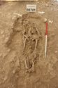 Thumbnail of Photo 6014 Working shot Skeleton 608711