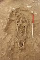 Thumbnail of Photo 6015 Working shot Skeleton 608711