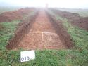 Thumbnail of PC070008 Trench 8 Overview