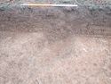 Thumbnail of PC070018 Bioturbation 802 no board