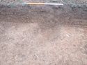 Thumbnail of PC070019 Bioturbation 802 no board