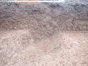 Thumbnail of PC070020 Bioturbation 802 no board