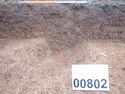 Thumbnail of PC070022 Bioturbation 802