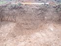 Thumbnail of PC070025 Bioturbation 806 no board