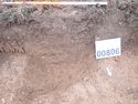 Thumbnail of PC070028 Bioturbation 806