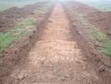 Thumbnail of PC070029 Trench 8