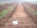 Thumbnail of PC070030 Trench 8  no board