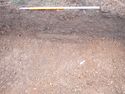 Thumbnail of PC070039 Trench 9 bioturbation 904 no board