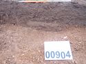 Thumbnail of PC070040 Trench 9 bioturbation 904