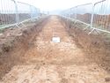 Thumbnail of PC080046 Trench 7 overview