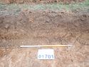 Thumbnail of PC080052 Trench 17 rep sec