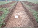 Thumbnail of PC080064 Trench 6 overview