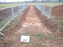 Thumbnail of PC080068 Trench 7 overview