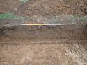 Thumbnail of PC090089 Trench 15 rep sec no board