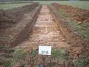 Thumbnail of PC090102  Trench 16 overview