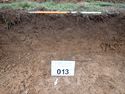 Thumbnail of PC100140 Trench 13 rep sec