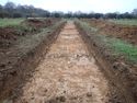 Thumbnail of PC100142  Trench 14 overview S facing  no board