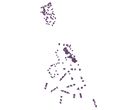 Thumbnail of Survey of Top and Bottom Feature Heights