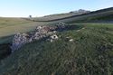 Thumbnail of Limekiln Cap
