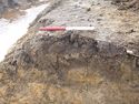 Thumbnail of NE facing section of Ditch [2703] (2704) NW side of field drain truncation, SW direction, 0.4m scale