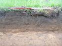 Thumbnail of East facing rep section 1 in excavation area on Southern side of Bonis Hall Lane, W direction, 1m scale