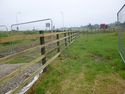 Thumbnail of Installed permanent fenceline, S direction, no scale