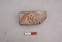 Thumbnail of Brick with animal paw impression x 1 (102), 0.10m scale