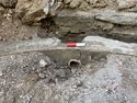 Thumbnail of Trench 1, Pipe (110) for filling plunge pool, view S, 0.1m scale