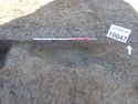 Thumbnail of PB020137 tree bole/pit [210047]