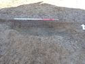 Thumbnail of PB020140 tree bole/pit [210047] no board