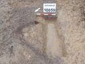 Thumbnail of PB030172 Linear [210059]