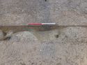 Thumbnail of PB100400 showing linear and treebole [210154] and [210156] no board