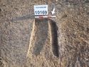 Thumbnail of PB110462 showing relationship [210169] and [219167]