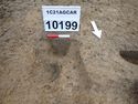Thumbnail of PB120521 detail of postholes [210199] and [210201]
