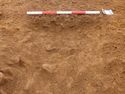 Thumbnail of Ditch [1028], south facing section of terminus, facing North. From archaeological recording and construction integrated recording at Thorpe Mandeville, Northamptonshire, England.