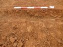 Thumbnail of Ditch [1043], south east facing section of terminus, facing North West. From archaeological recording and construction integrated recording at Thorpe Mandeville, Northamptonshire, England.