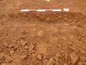 Thumbnail of Ditch [1043], south east facing section of terminus, facing North West. From archaeological recording and construction integrated recording at Thorpe Mandeville, Northamptonshire, England.