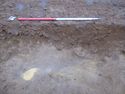 Thumbnail of Ditch [2023], north facing section of ditch, facing South. From archaeological recording and construction integrated recording at Thorpe Mandeville, Northamptonshire, England.