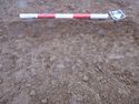 Thumbnail of Ditch [2008], north facing section of terminus, facing South. From archaeological recording and construction integrated recording at Thorpe Mandeville, Northamptonshire, England.