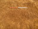 Thumbnail of Ditch [1005]. Pre-excavation of terminus. From archaeological recording and construction integrated recording at Thorpe Mandeville, Northamptonshire, England.