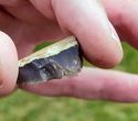 Thumbnail of Test-pit 2102, Find01