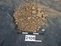 Thumbnail of Test-pit 2106, clasts