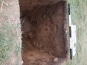 Thumbnail of Test-pit 2106, plan view