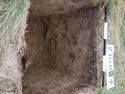 Thumbnail of Test-pit 2108, N section detail