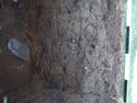 Thumbnail of Test-pit 2112, N section detail