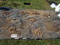 Thumbnail of Test-pit 2112, clasts